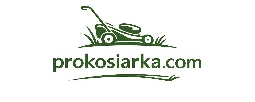 photo 5386625512110758138 y